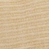 sandstorm