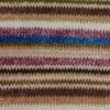 spiced-plum