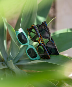 Sunbeam Sunnies Series 3