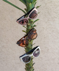 Sunburst Sunnies Series 3