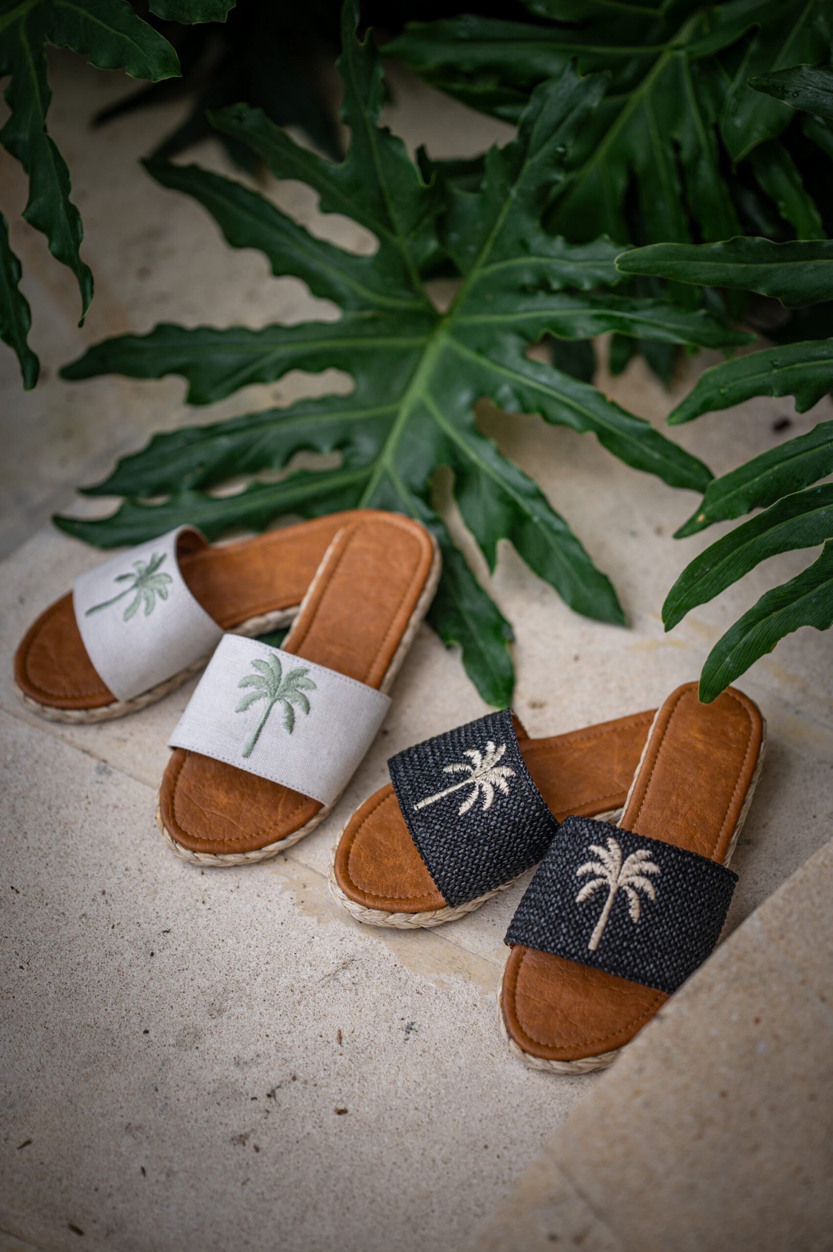 Paradiso Palm Slides - Image 2