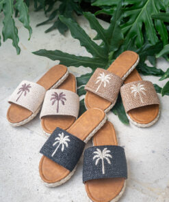 Paradiso Palm Slides